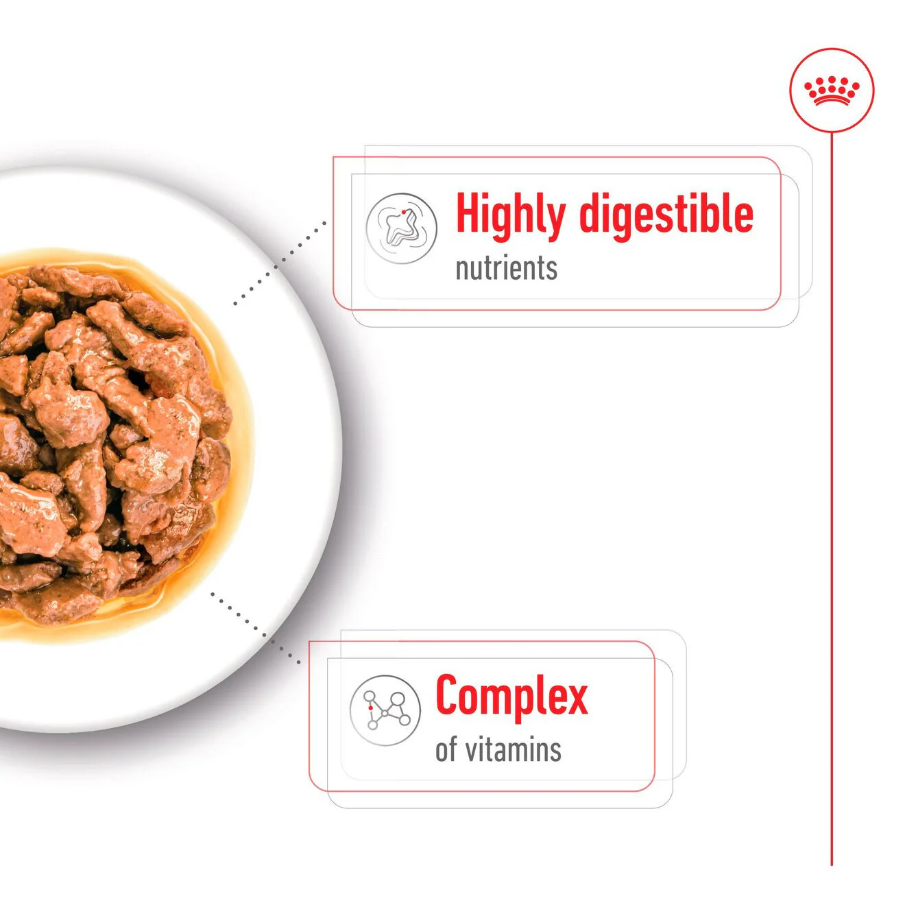 Royal Canin Size Health Nutrition Mini Adult Wet Dog Food in Gravy - 12x85g Pouches - Image 3