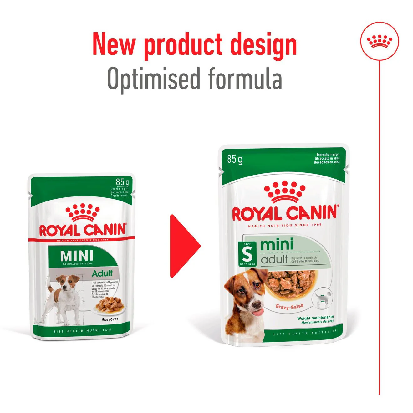 Royal Canin Size Health Nutrition Mini Adult Wet Dog Food in Gravy - 12x85g Pouches - Image 4