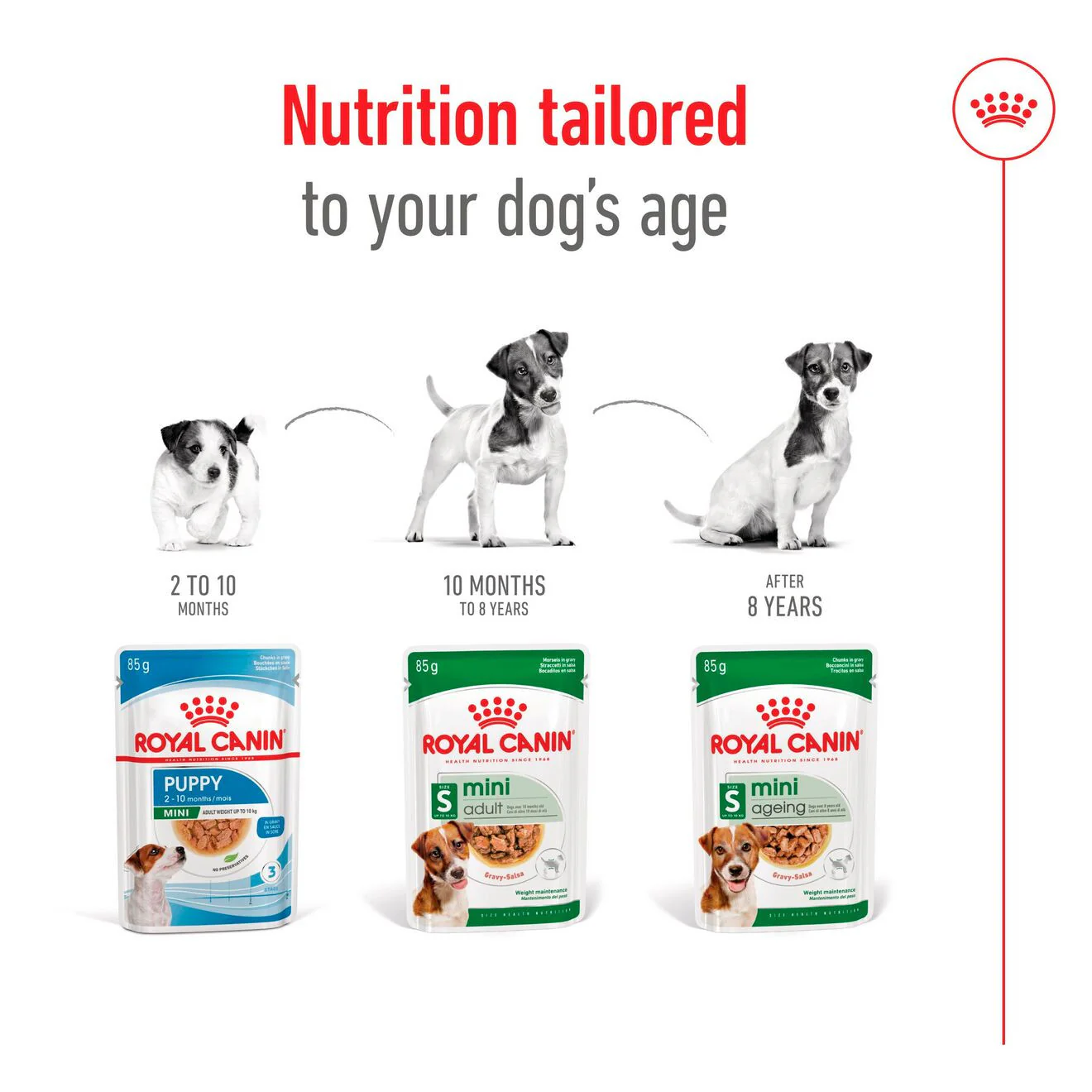 Royal Canin Size Health Nutrition Mini Adult Wet Dog Food in Gravy - 12x85g Pouches - Image 5