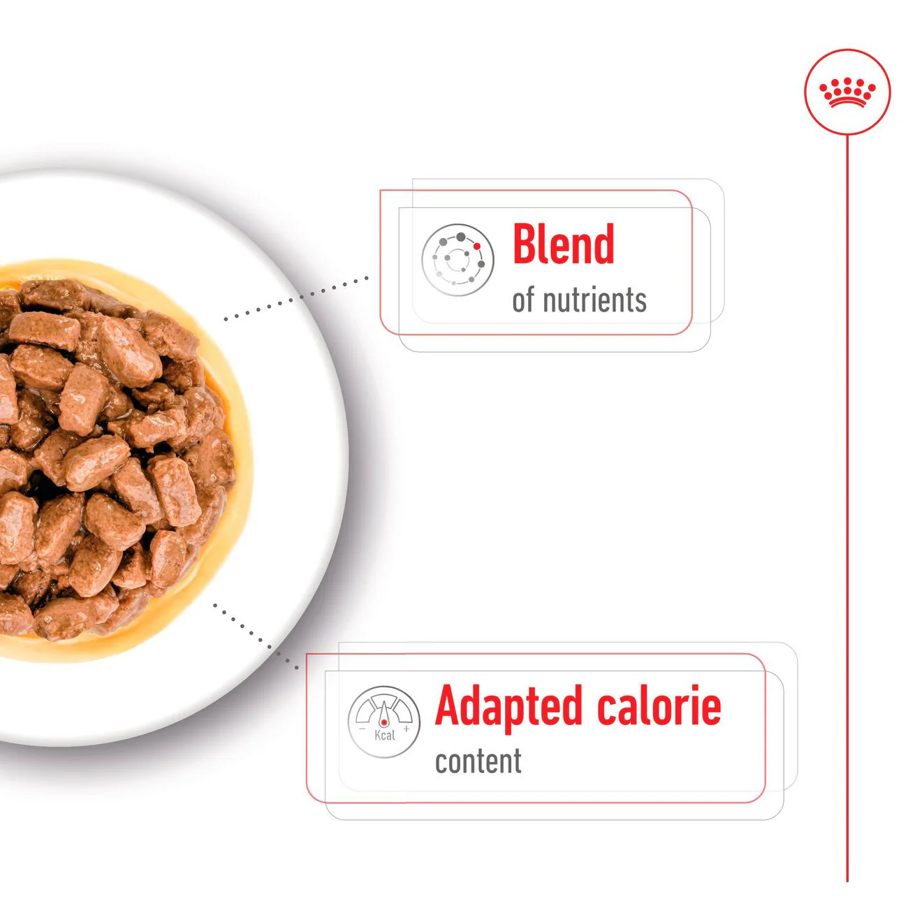 Royal Canin Size Health Nutrition Mini Ageing 8+ Wet Dog Food in Gravy - 12x85g Pouches - Image 3