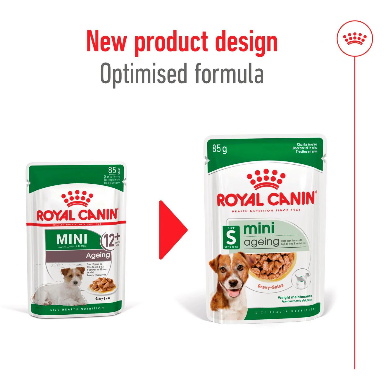 Royal Canin Size Health Nutrition Mini Ageing 8+ Wet Dog Food in Gravy - 12x85g Pouches - Image 7