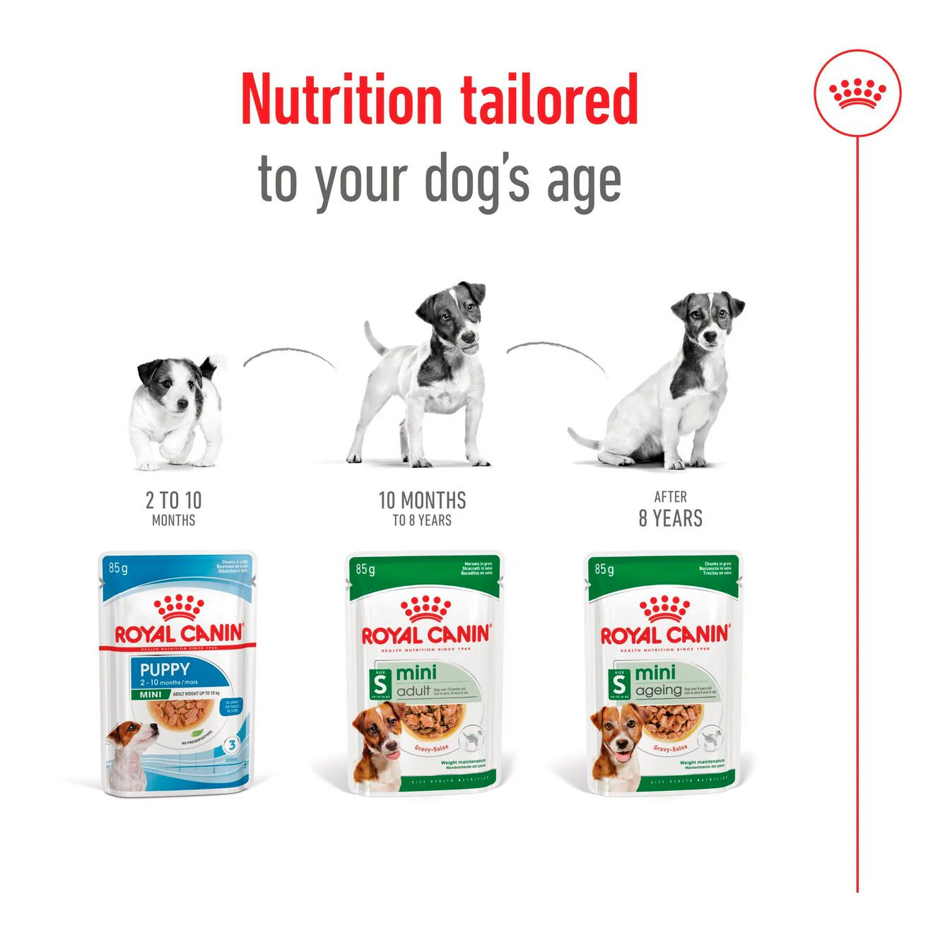Royal Canin Size Health Nutrition Mini Ageing 8+ Wet Dog Food in Gravy - 12x85g Pouches - Image 9