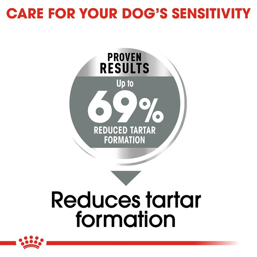 Royal Canin Size Health Nutrition Mini Dental Care Adult Dry Dog Food - Image 3