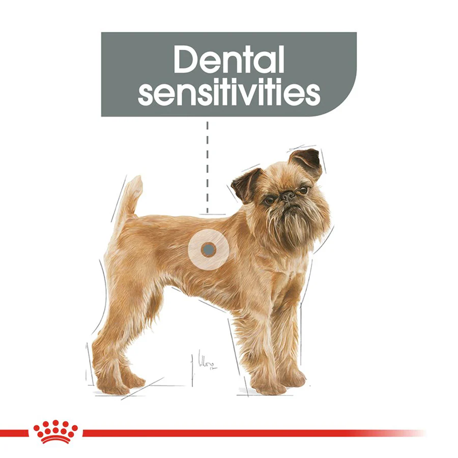 Royal Canin Size Health Nutrition Mini Dental Care Adult Dry Dog Food - Image 4