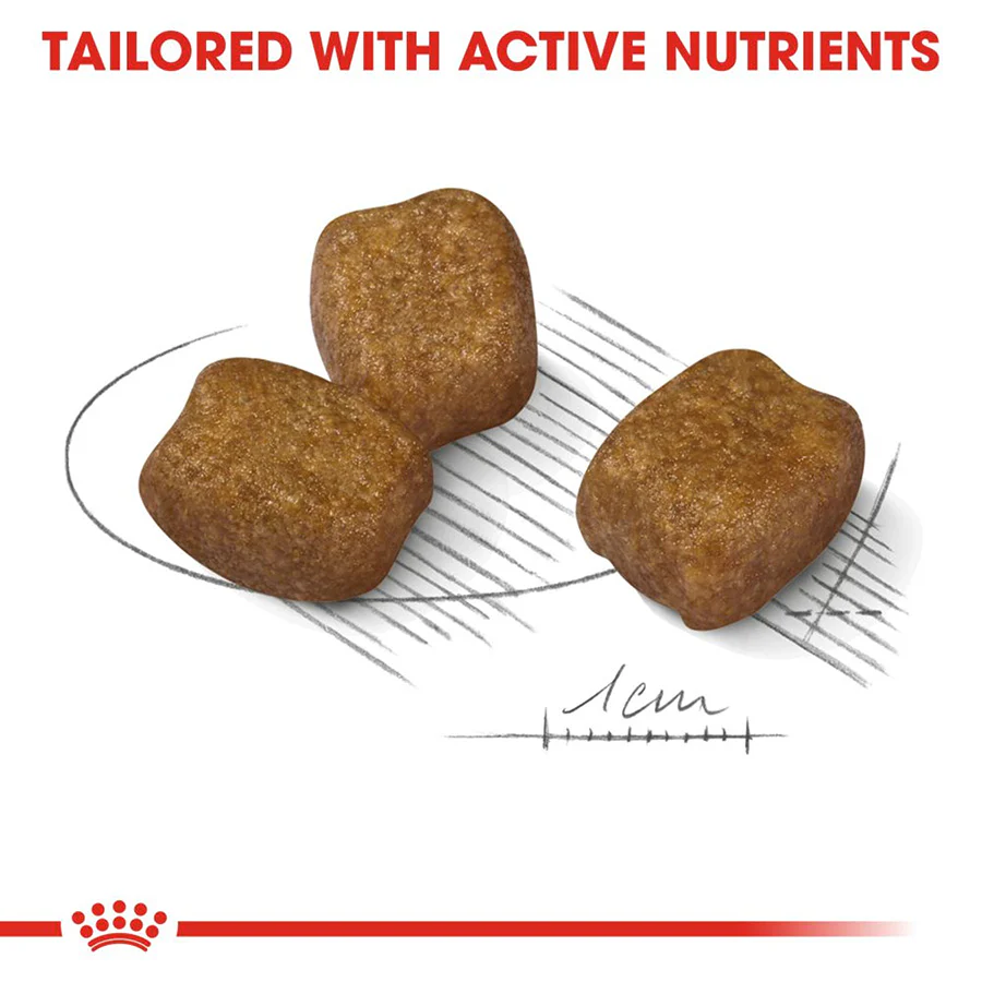 Royal Canin Size Health Nutrition Mini Dental Care Adult Dry Dog Food - Image 5