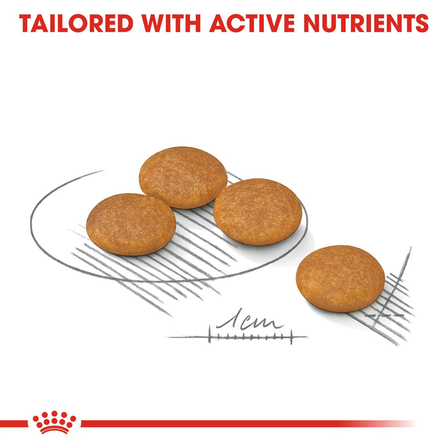 Royal Canin Size Health Nutrition Mini Dermacomfort Adult Dry Dog Food - Image 4