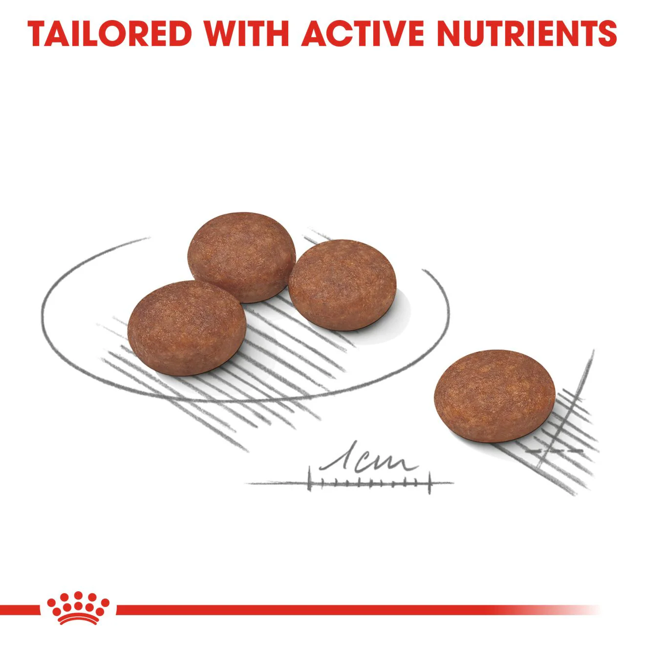 Royal Canin Size Health Nutrition Mini Digestive Care Adult Dry Dog Food - Image 5