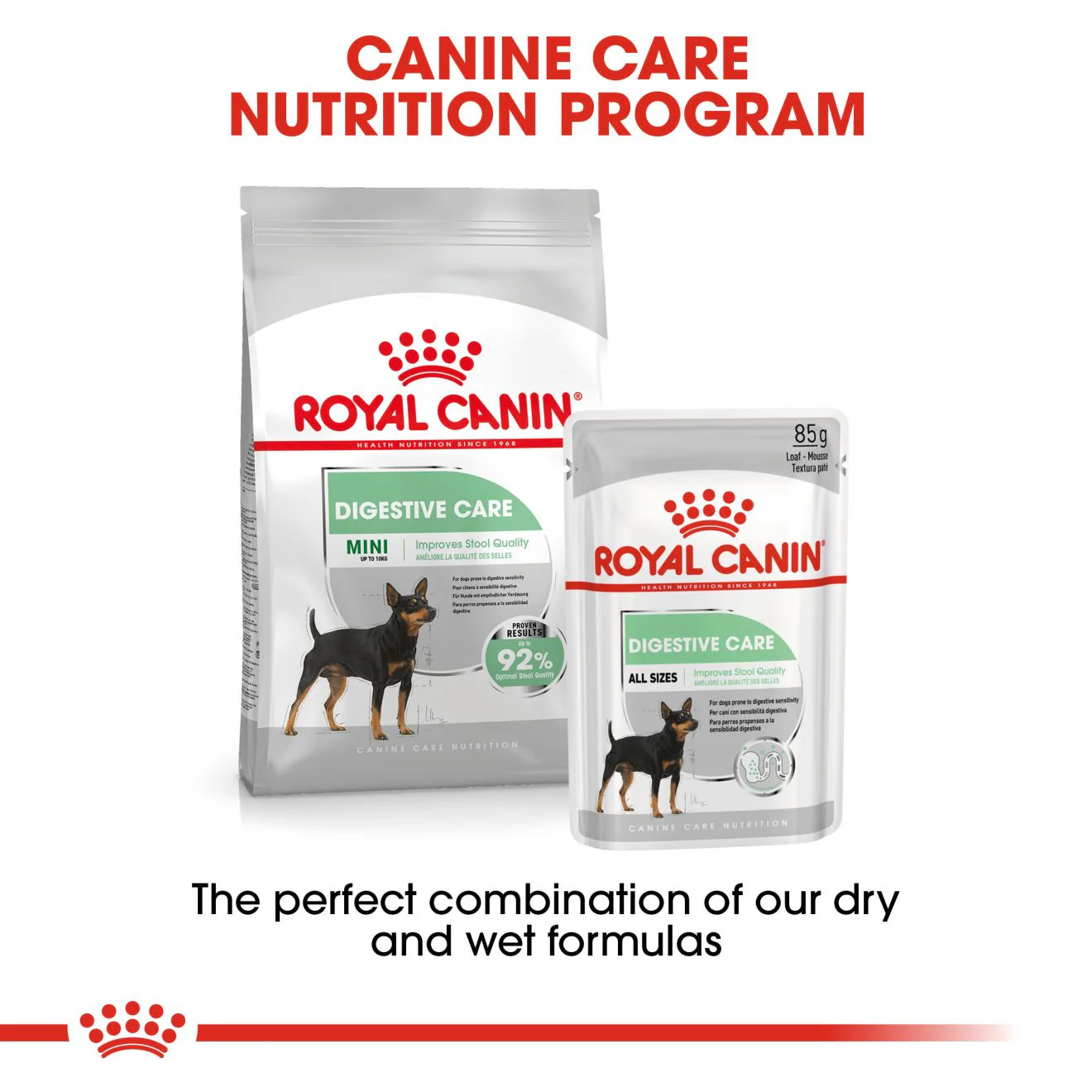 Royal Canin Size Health Nutrition Mini Digestive Care Adult Dry Dog Food - Image 6