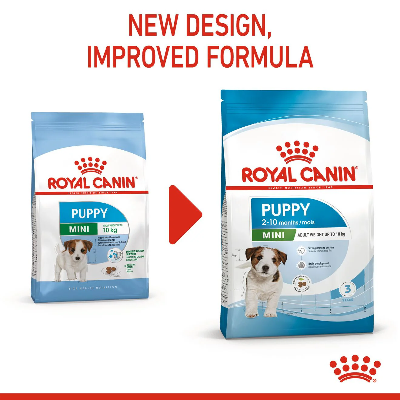 Royal Canin Size Health Nutrition Mini Puppy Dry Dog Food - Image 3
