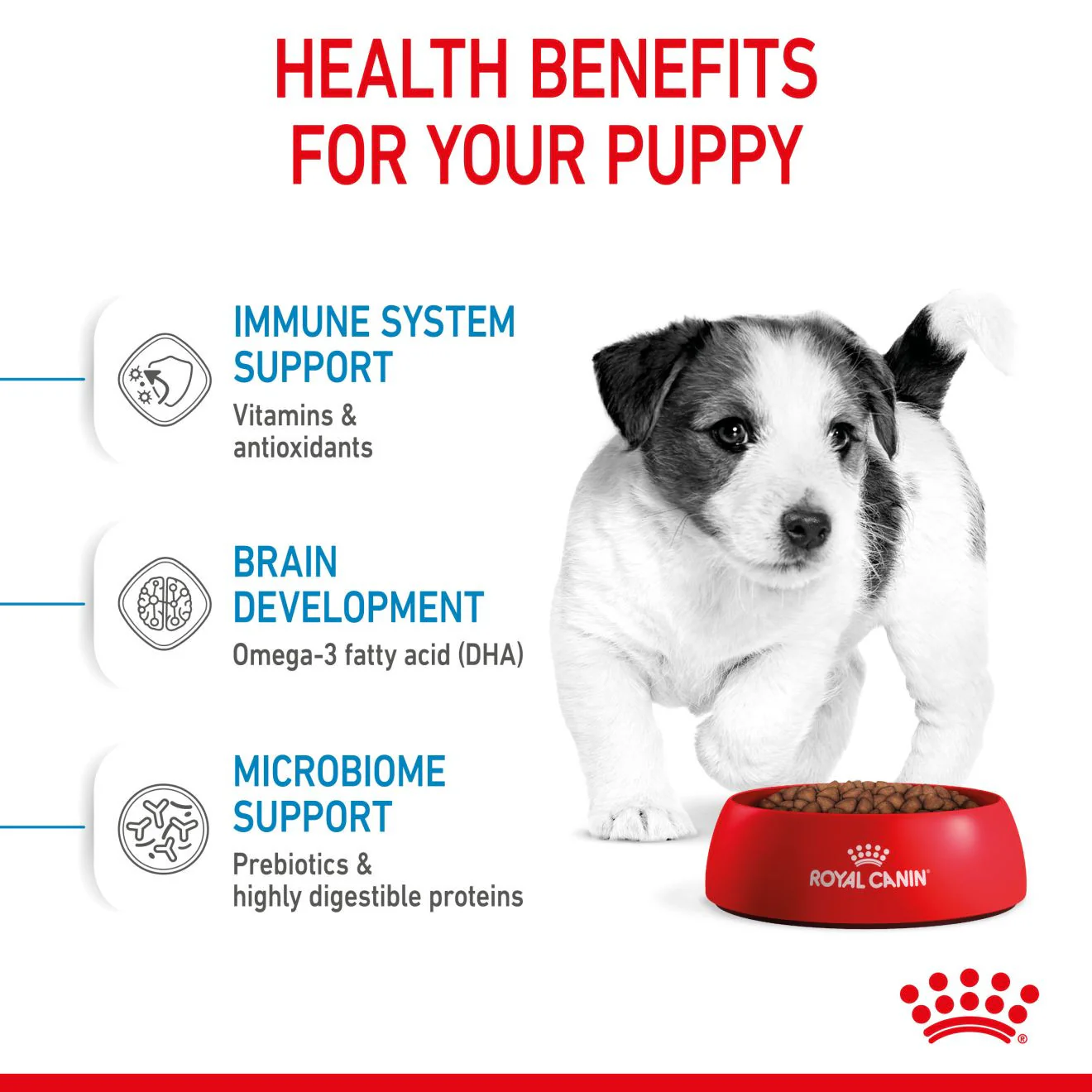 Royal Canin Size Health Nutrition Mini Puppy Dry Dog Food - Image 4