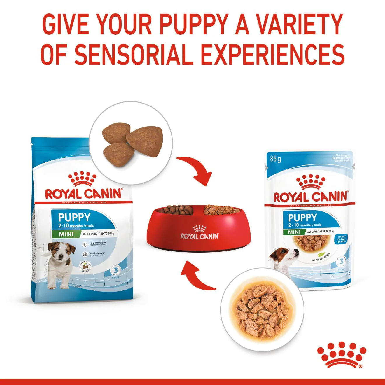 Royal Canin Size Health Nutrition Mini Puppy Dry Dog Food - Image 5