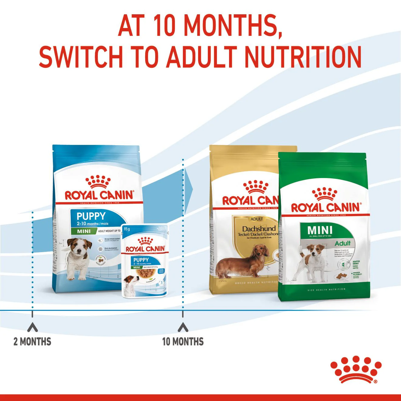 Royal Canin Size Health Nutrition Mini Puppy Dry Dog Food - Image 6