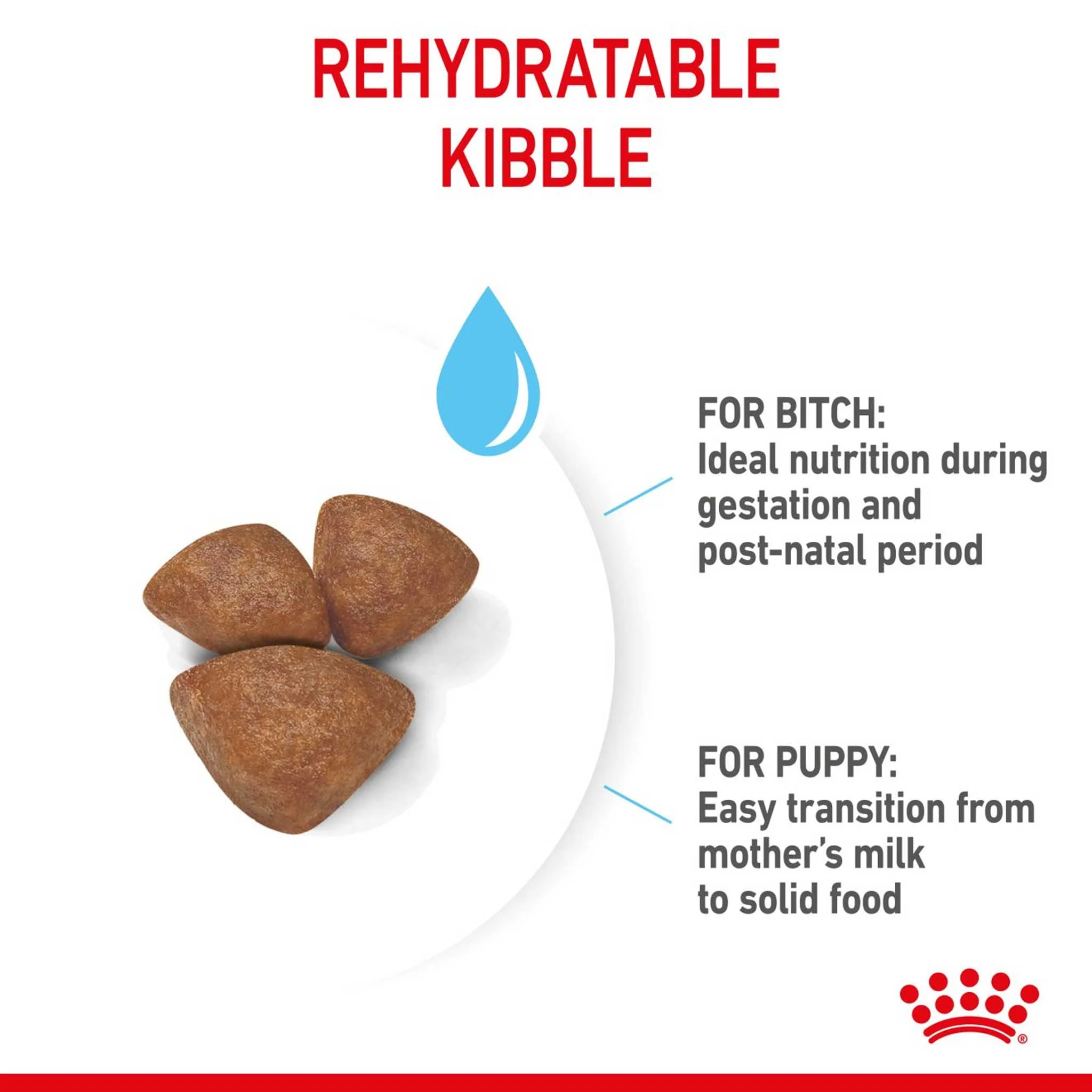 Royal Canin Size Health Nutrition Mini Starter Mother and Baby Puppy Dry Dog Food - Image 3