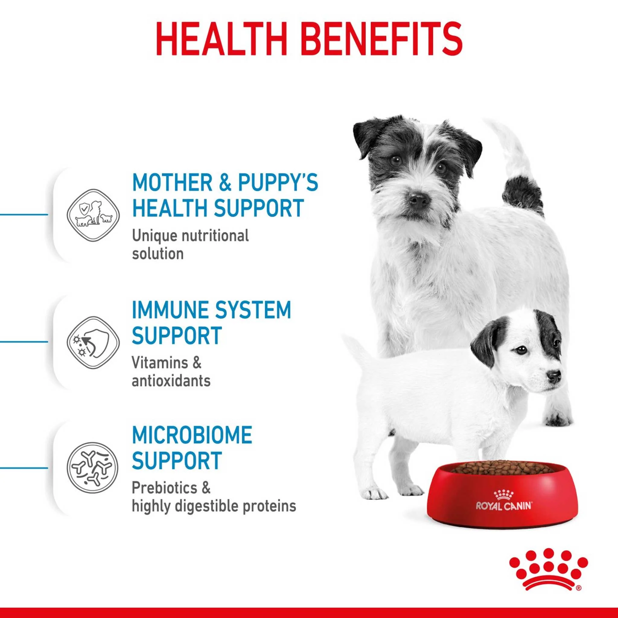 Royal Canin Size Health Nutrition Mini Starter Mother and Baby Puppy Dry Dog Food - Image 4