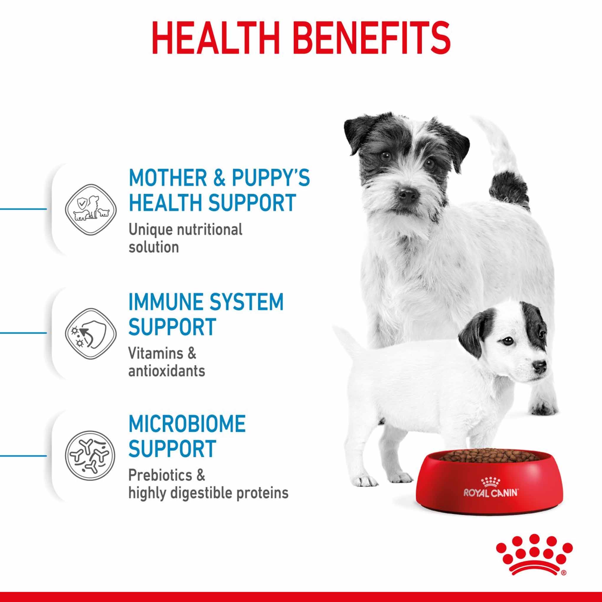 Royal Canin Size Health Nutrition Mini Starter Mother and Baby Puppy Dry Dog Food - 4kg - Image 4
