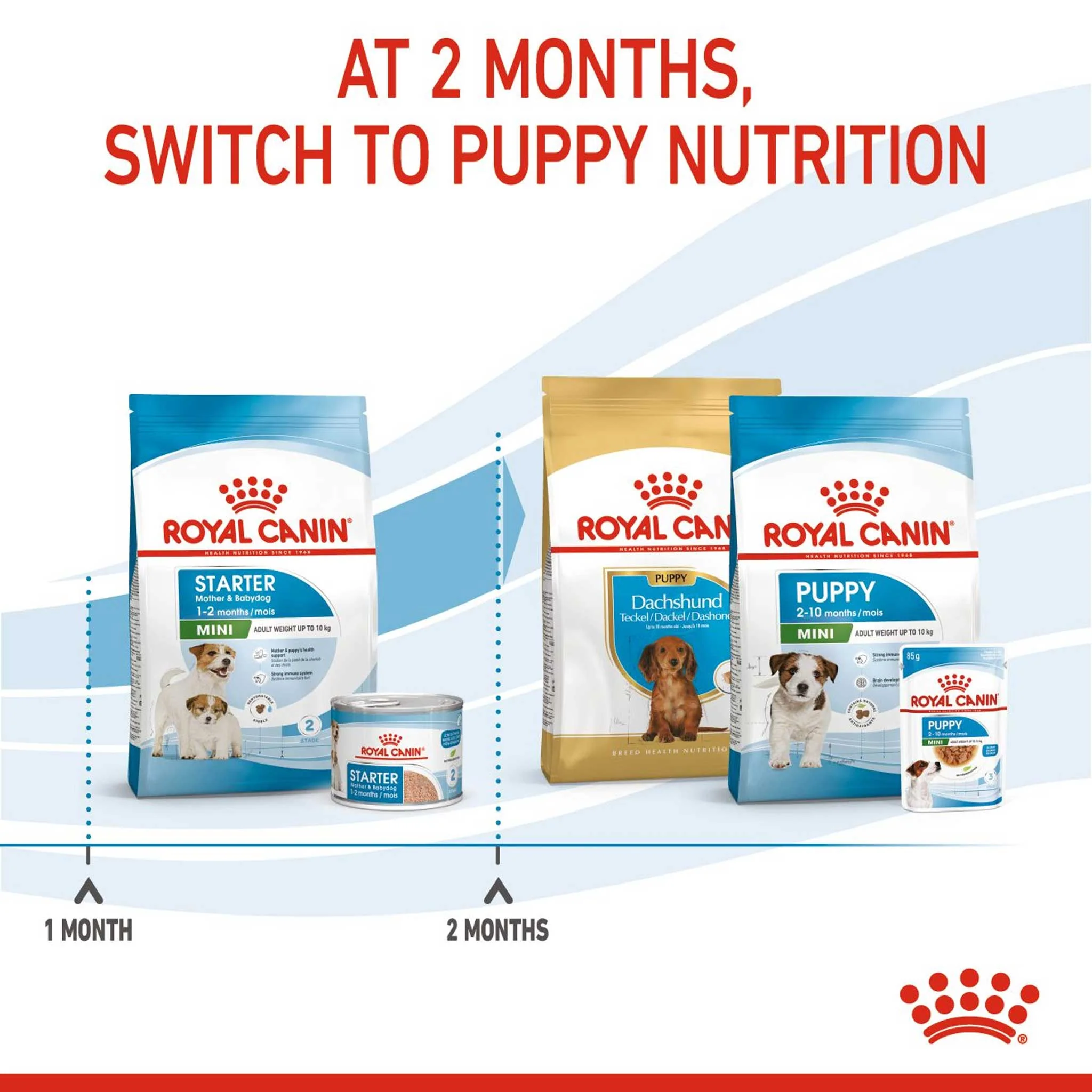 Royal Canin Size Health Nutrition Mini Starter Mother and Baby Puppy Dry Dog Food - Image 5