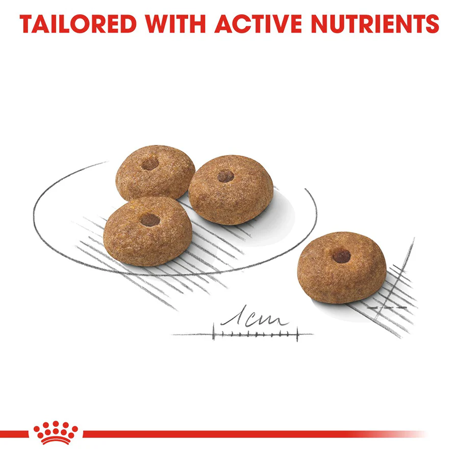 Royal Canin Size Health Nutrition Mini Sterilised Adult Dry Dog Food - Image 4