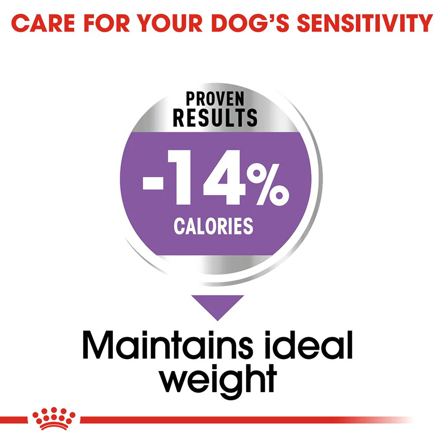 Royal Canin Size Health Nutrition Mini Sterilised Adult Dry Dog Food - Image 5