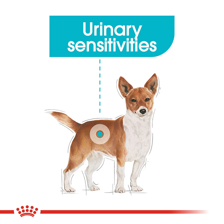 Royal Canin Size Health Nutrition Mini Urinary Care Adult Dry Dog Food - Image 3