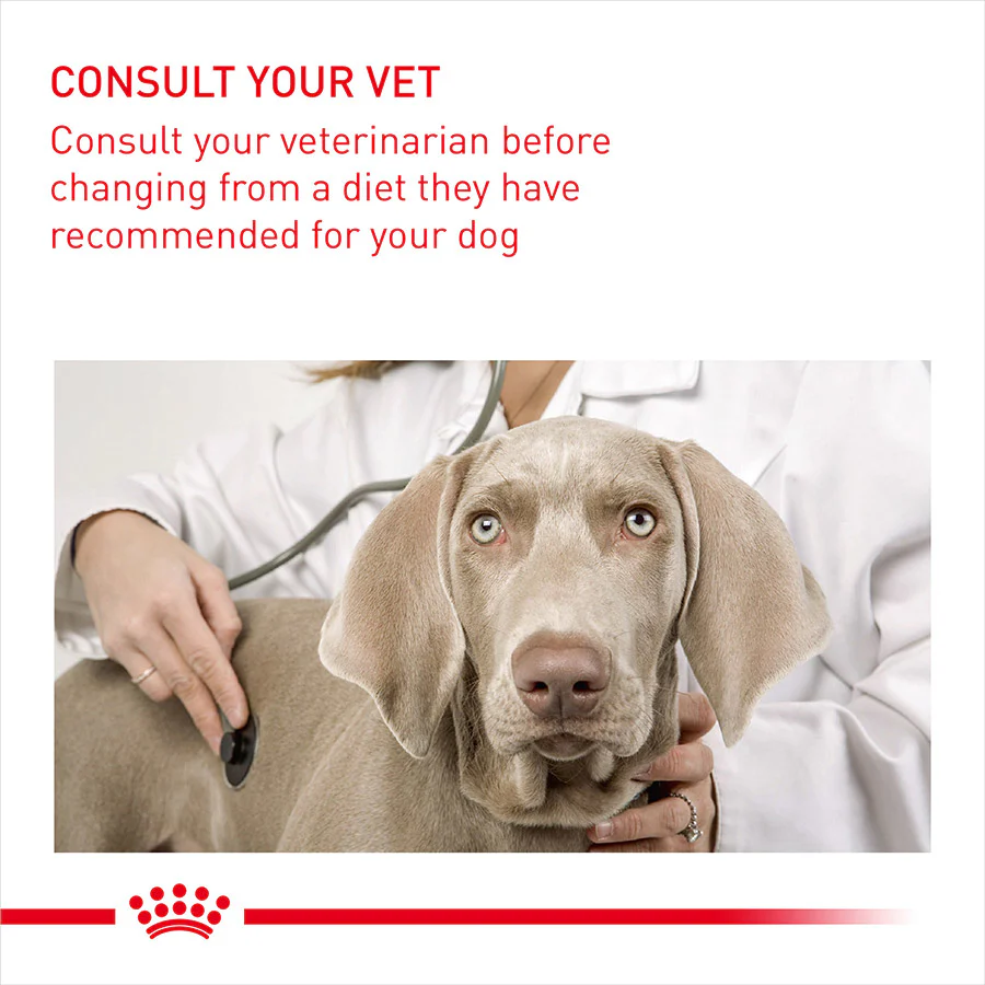 Royal Canin Size Health Nutrition Mini Urinary Care Adult Dry Dog Food - Image 4