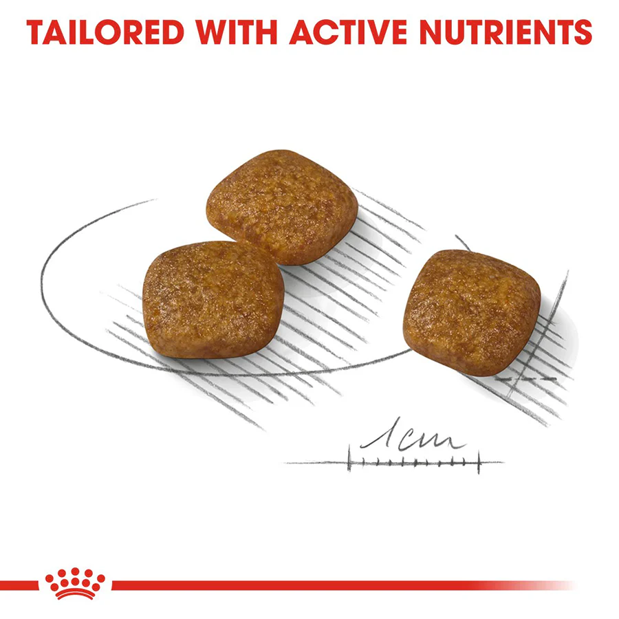 Royal Canin Size Health Nutrition Mini Urinary Care Adult Dry Dog Food - Image 5