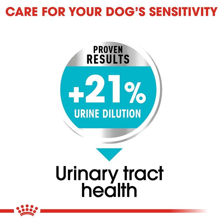 Royal Canin Size Health Nutrition Mini Urinary Care Adult Dry Dog Food - Image 6