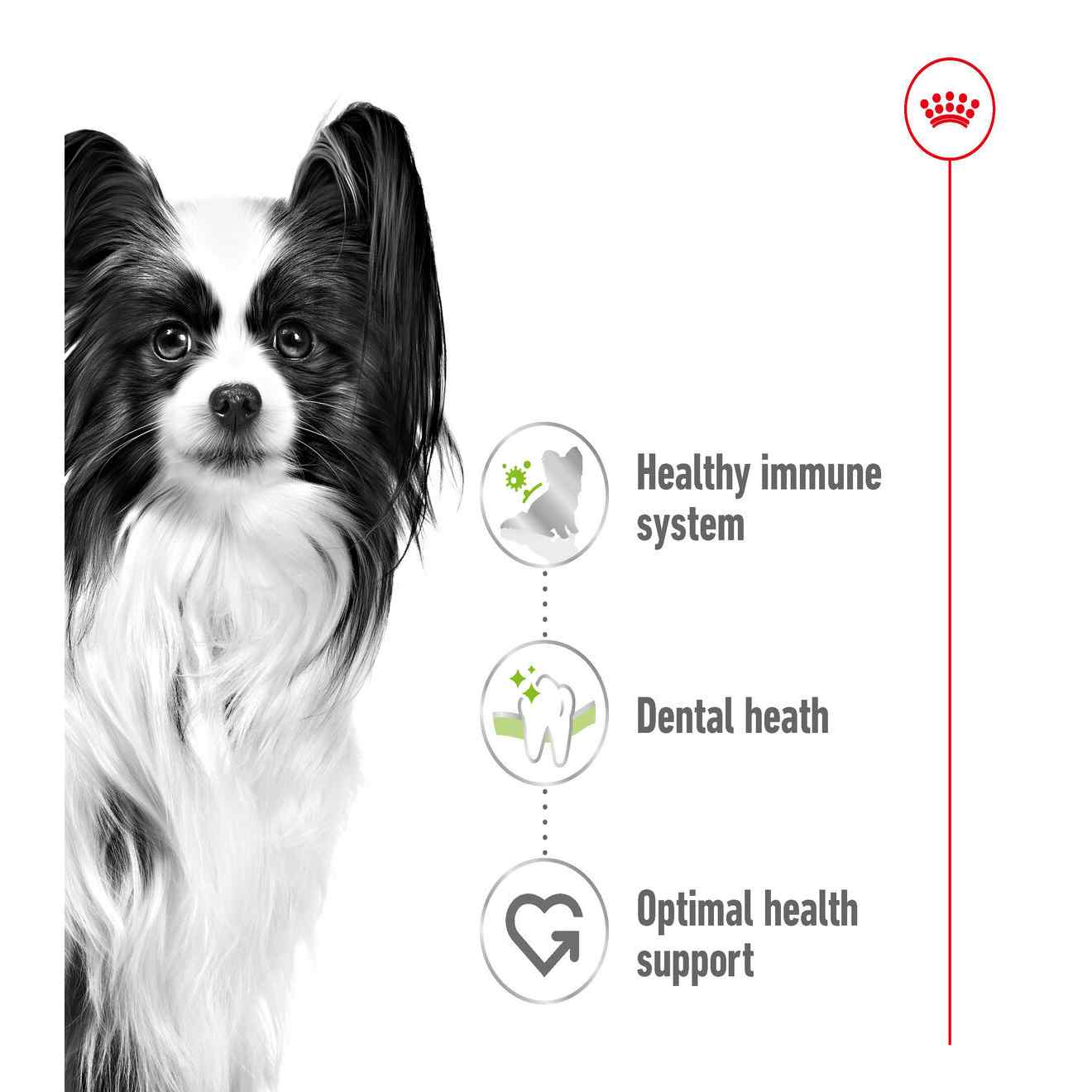 Royal Canin Size Health Nutrition X-Small Adult Dry Dog Food - Image 3