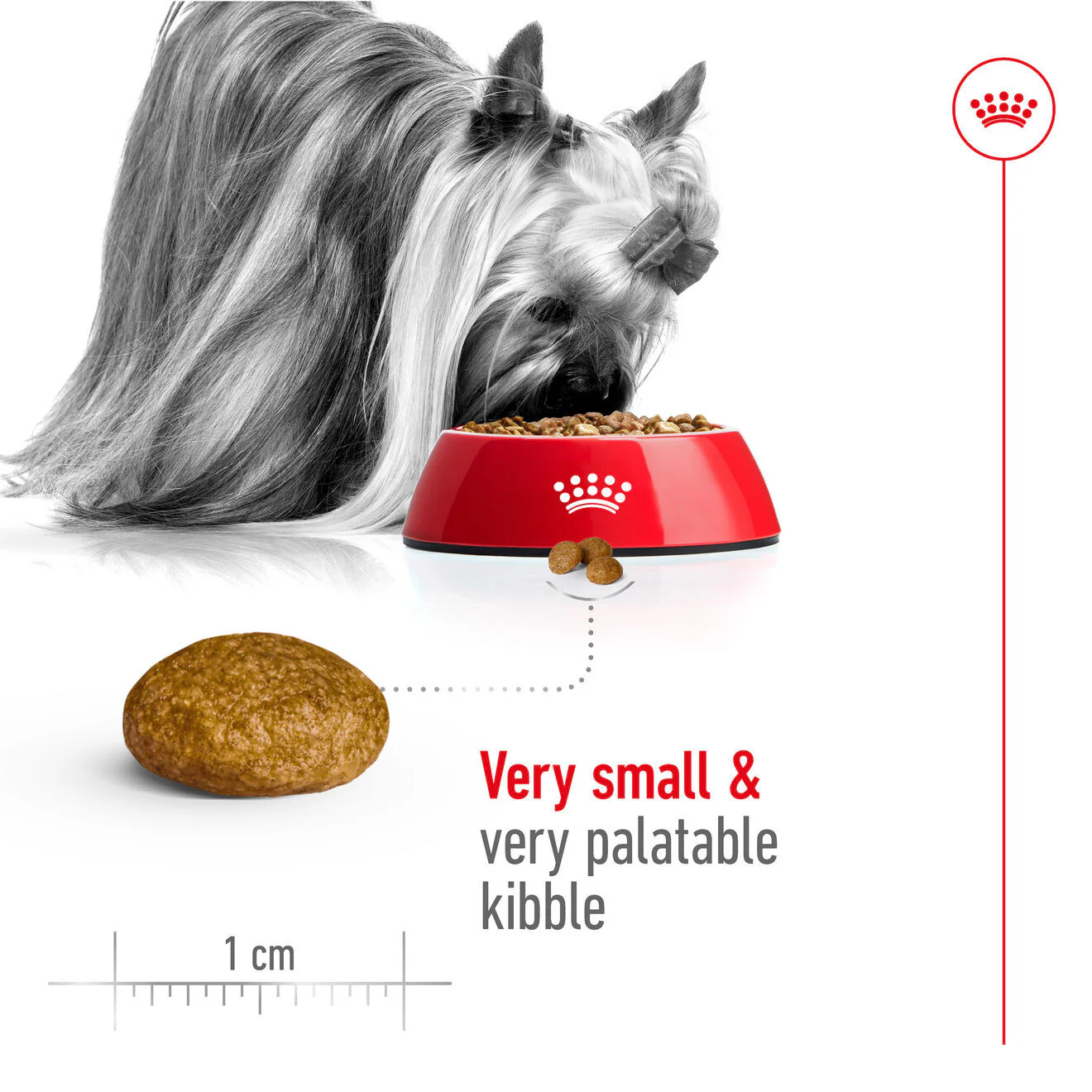 Royal Canin Size Health Nutrition X-Small Adult Dry Dog Food - Image 4