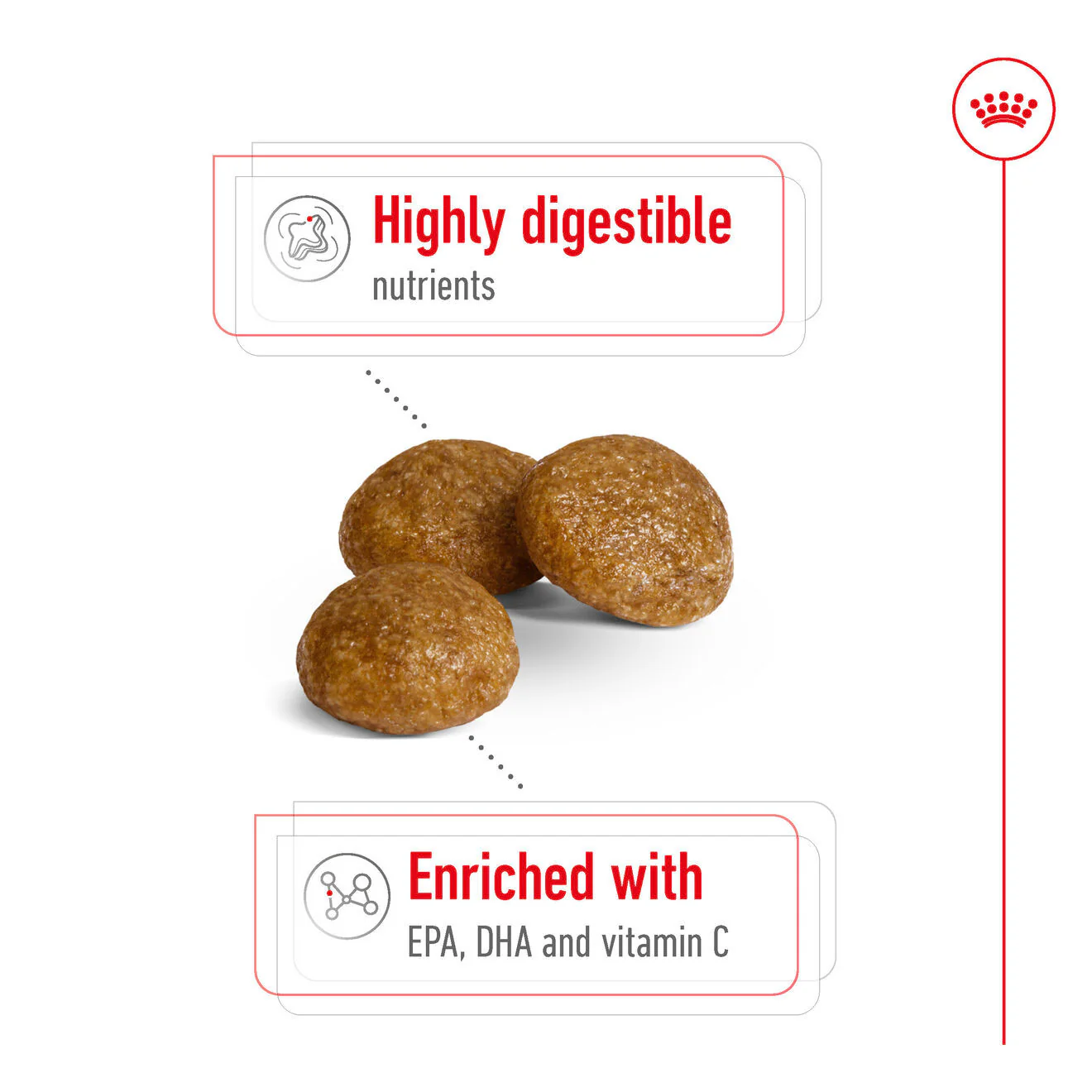 Royal Canin Size Health Nutrition X-Small Adult Dry Dog Food - Image 5