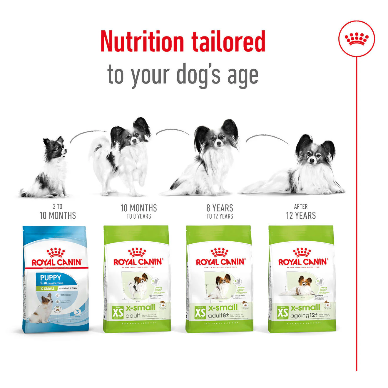 Royal Canin Size Health Nutrition X-Small Adult Dry Dog Food - Image 9