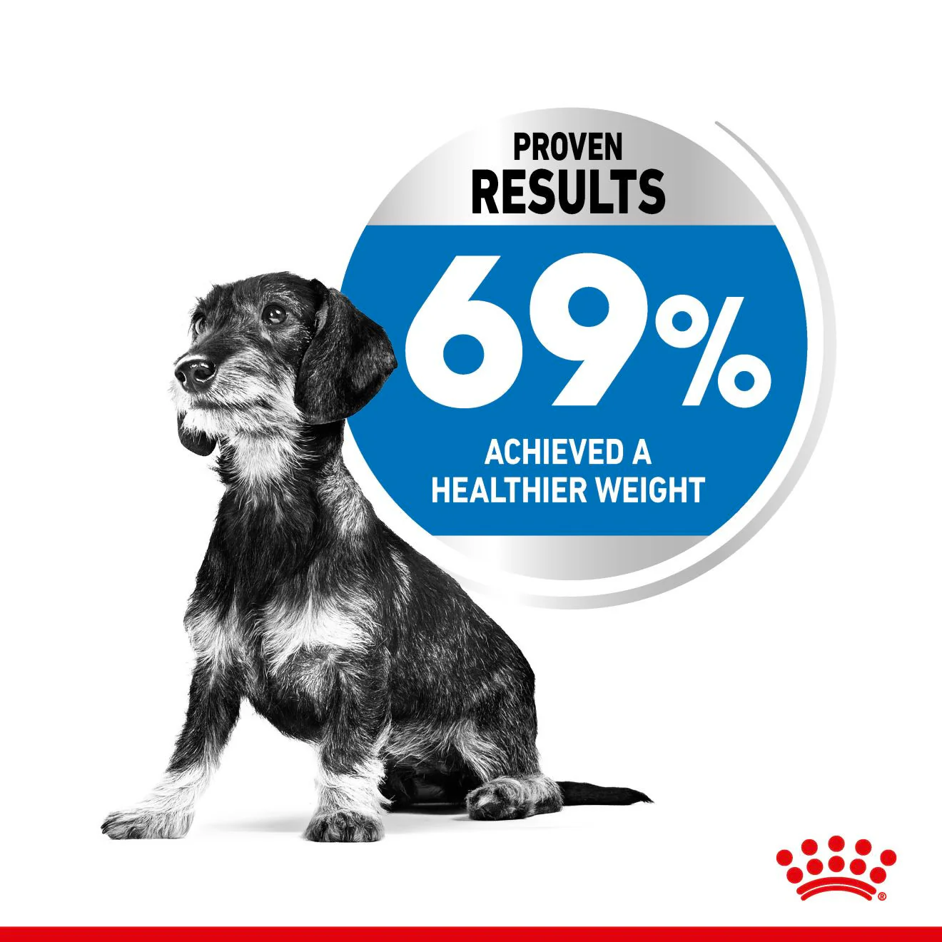 Royal Canin Size Health Nutrition X-Small Light Weight Care Adult Dry Dog Food - Image 3