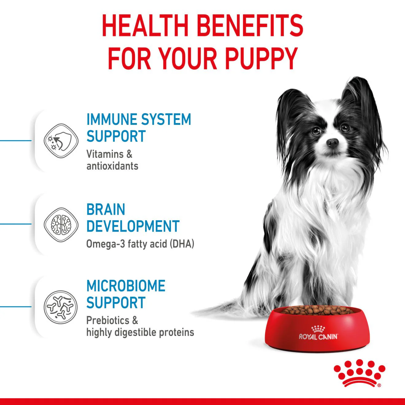 Royal Canin Size Health Nutrition X-Small Puppy Dry Dog Food - Image 4