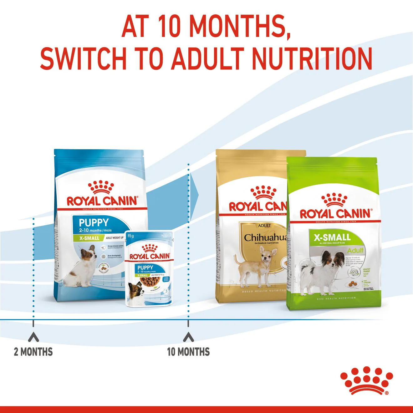 Royal Canin Size Health Nutrition X-Small Puppy Dry Dog Food - Image 5