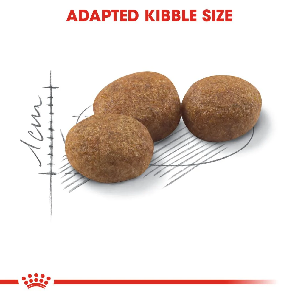 Royal Canin Sterilised 37 Adult Dry Cat Food - Image 4