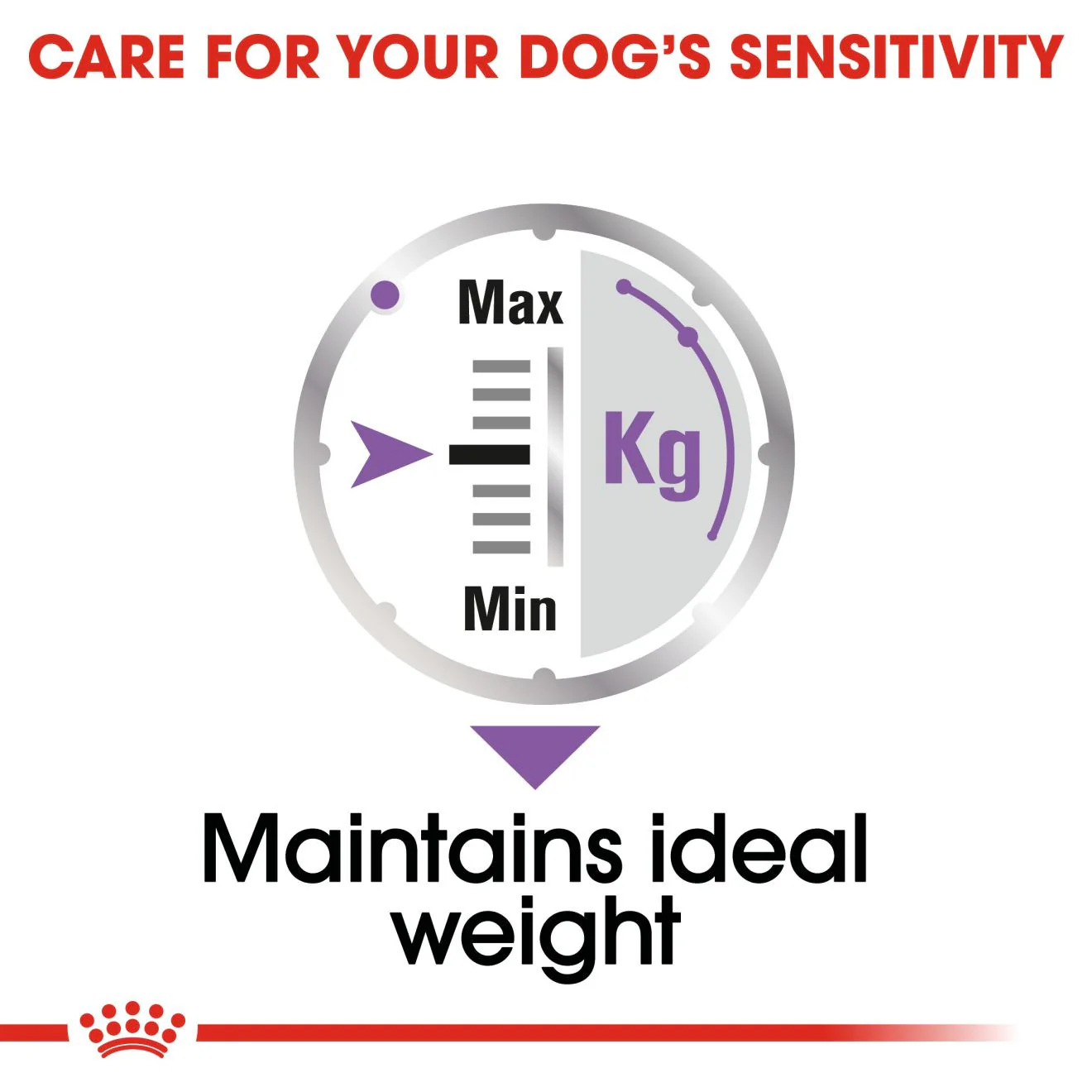 Royal Canin Sterilised Canine Care Adult Wet Dog Food in Loaf - 12x85g Pouches - Image 6