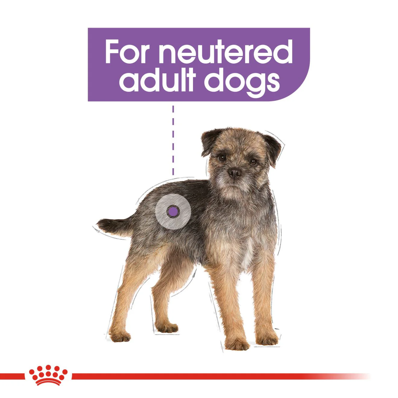 Royal Canin Sterilised Canine Care Adult Wet Dog Food in Loaf - 12x85g Pouches - Image 7