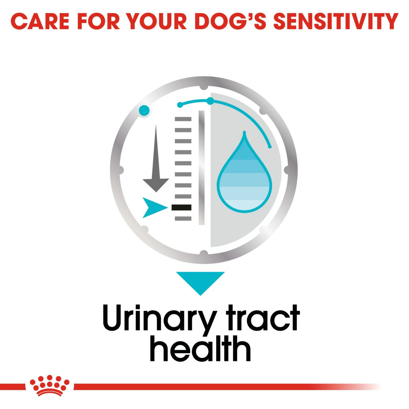 Royal Canin Urinary Canine Care Adult Wet Dog Food in Loaf - 12x85g Pouches - Image 6