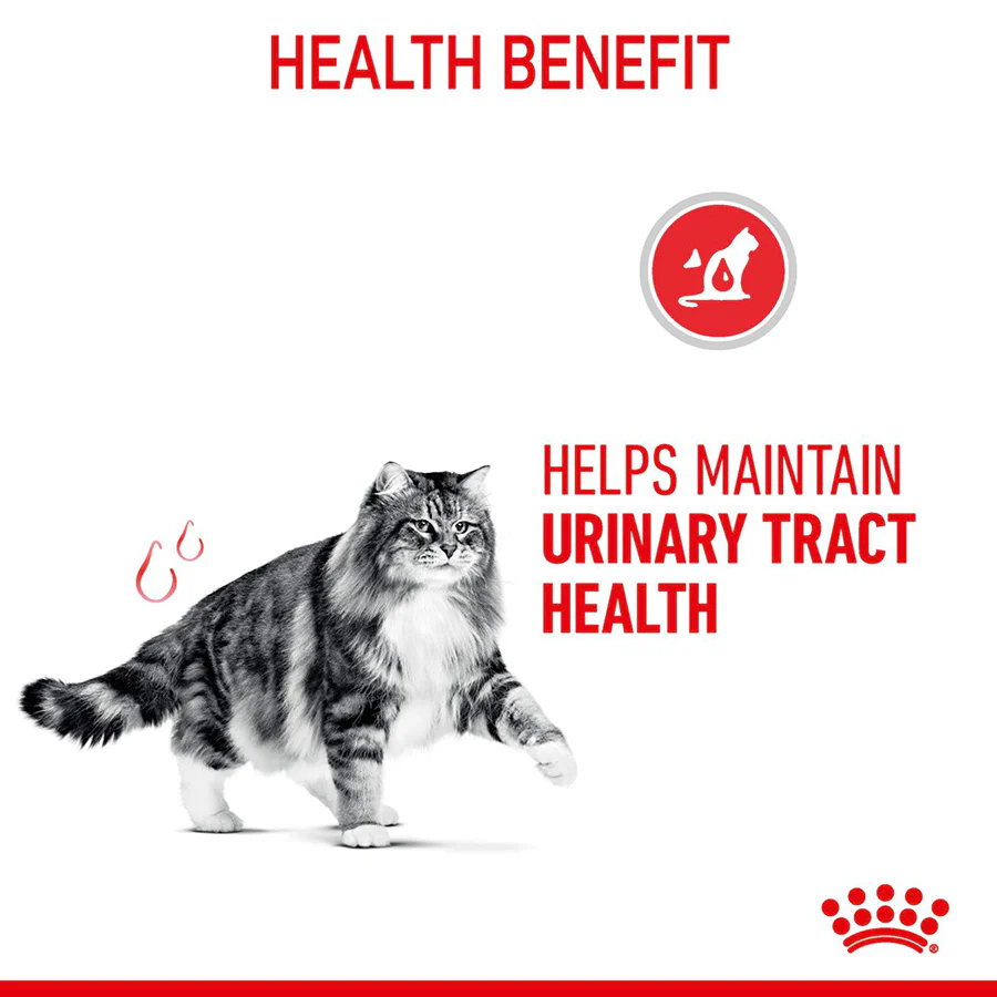 ROYAL CANIN Urinary Care Adult Dry Cat Food - Image 3