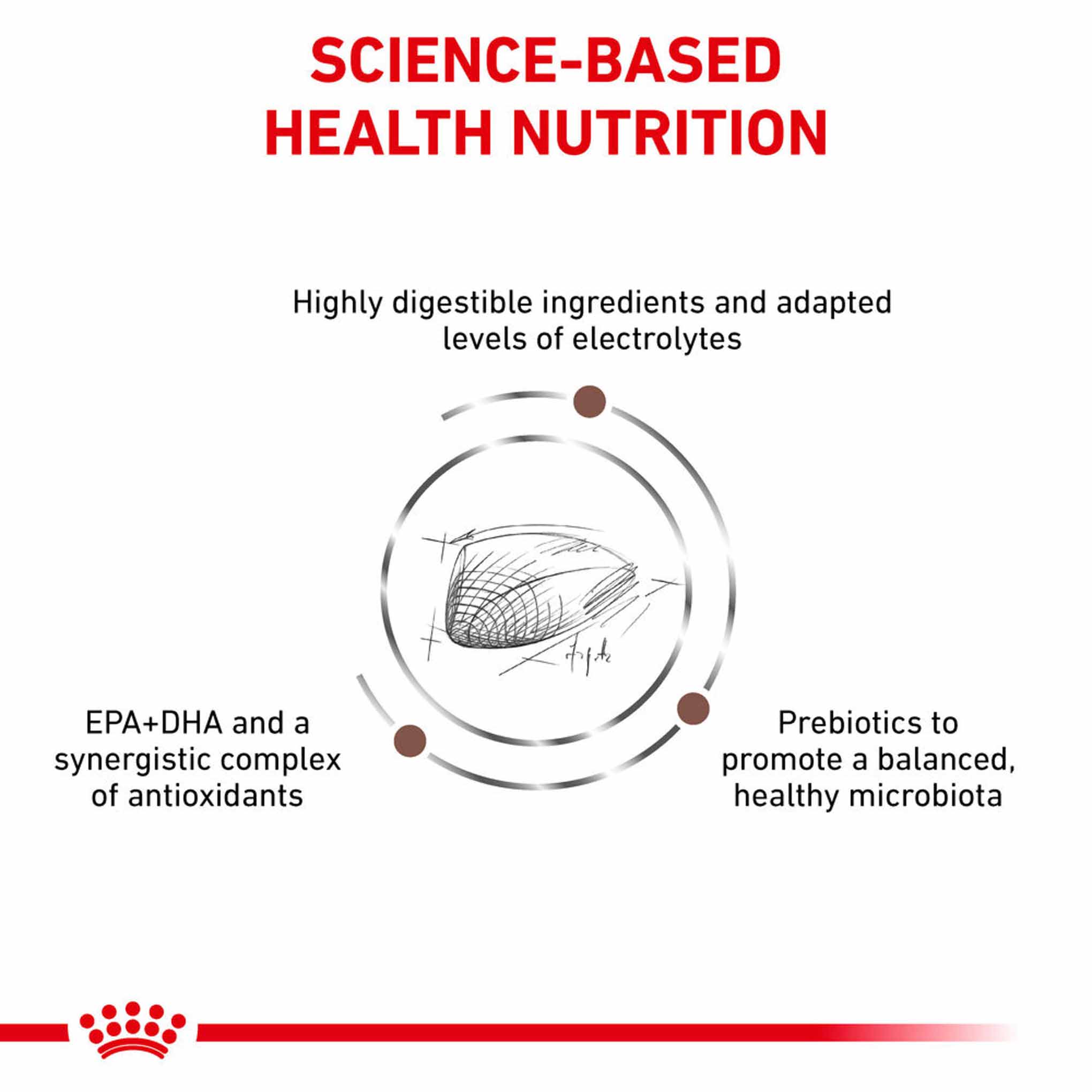 ROYAL CANIN Veterinary Gastrointestinal Adult Dry Cat Food - Image 3