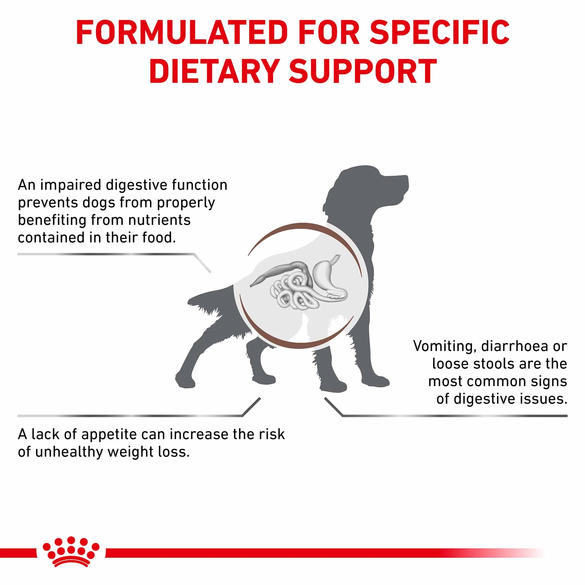 Royal Canin Veterinary Health Gastrointestinal Adult Dry Dog Food - Image 2