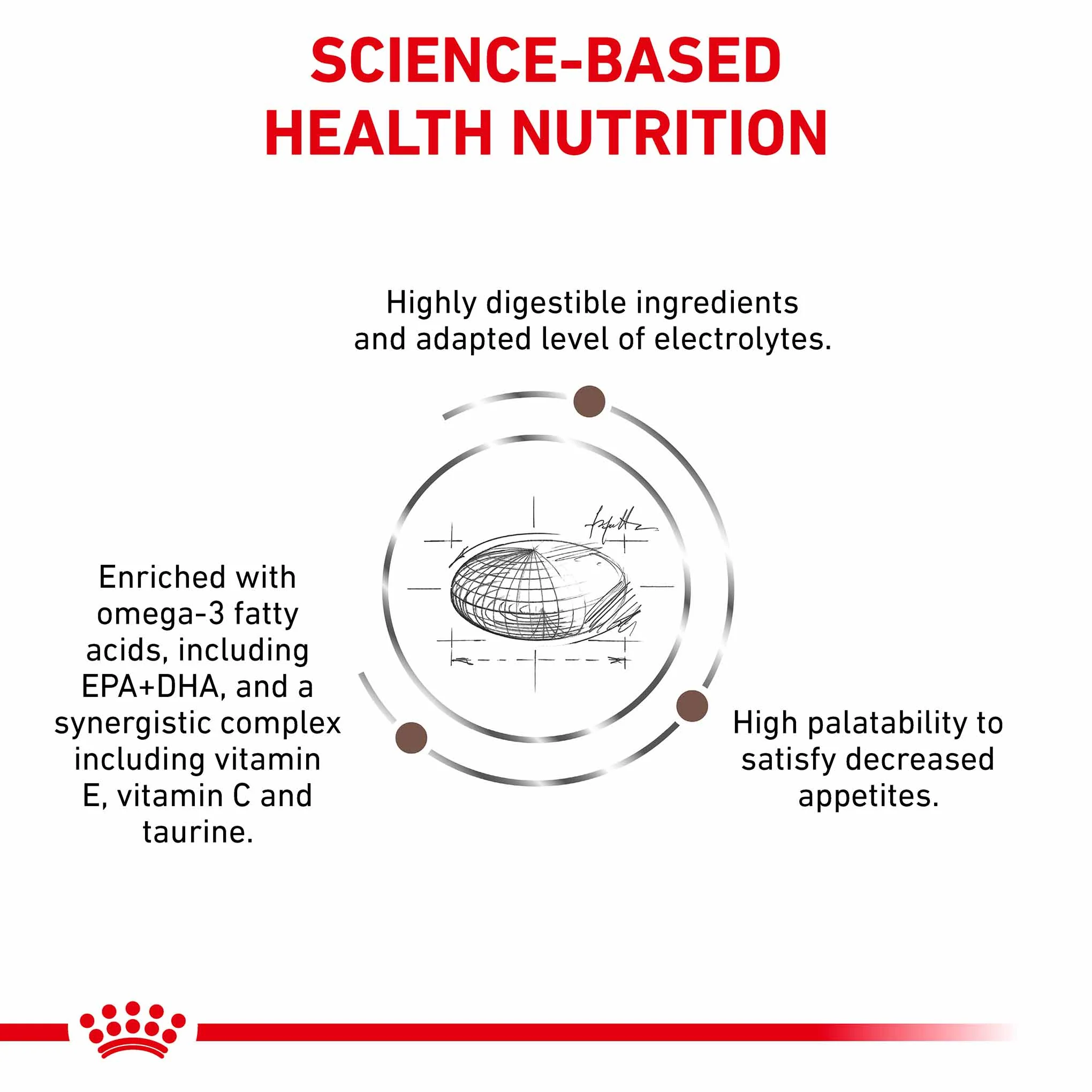 Royal Canin Veterinary Health Gastrointestinal Adult Dry Dog Food - Image 3