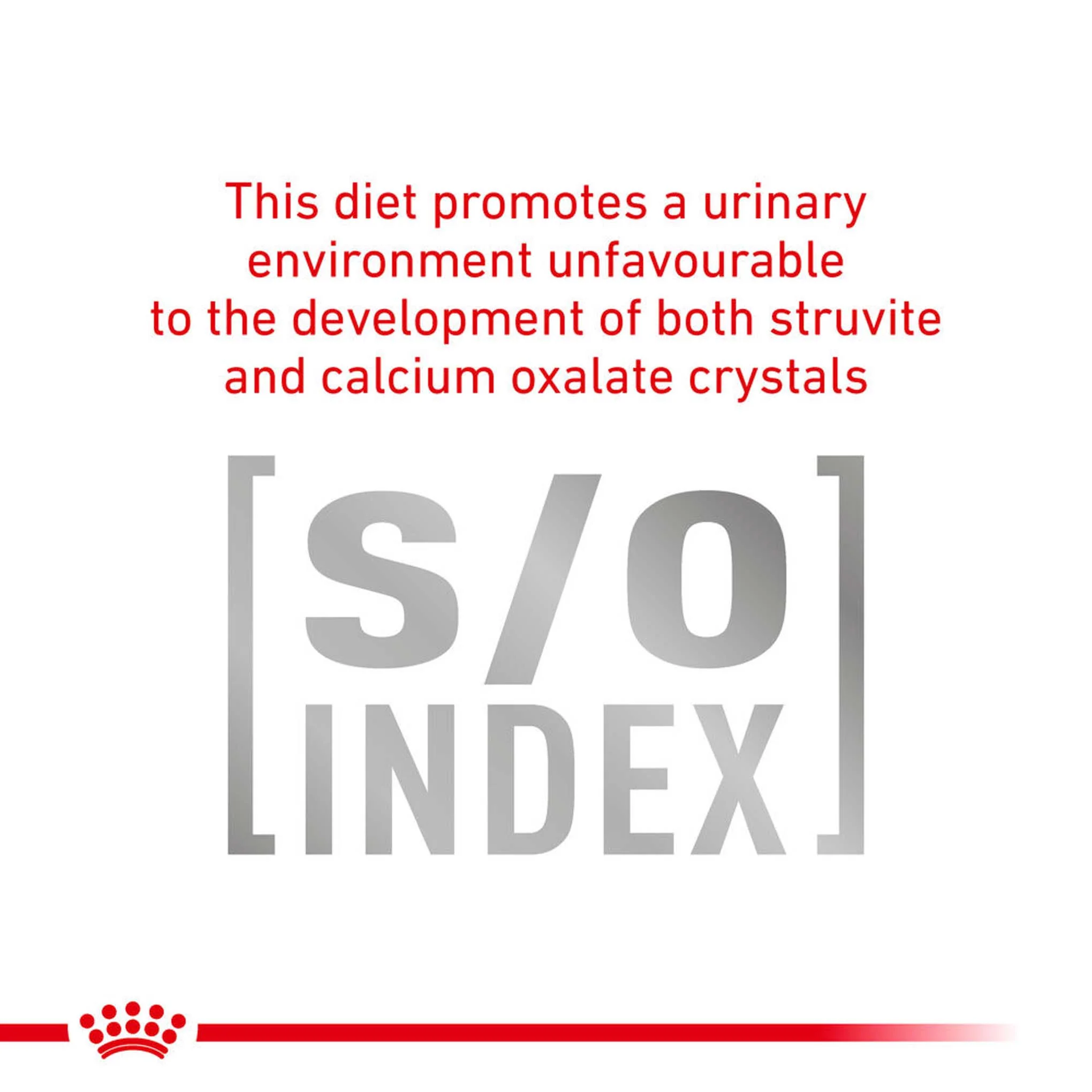 Royal Canin Veterinary Health Gastrointestinal Adult Wet Cat Food in Gravy - 12x85g Pouches - Image 6