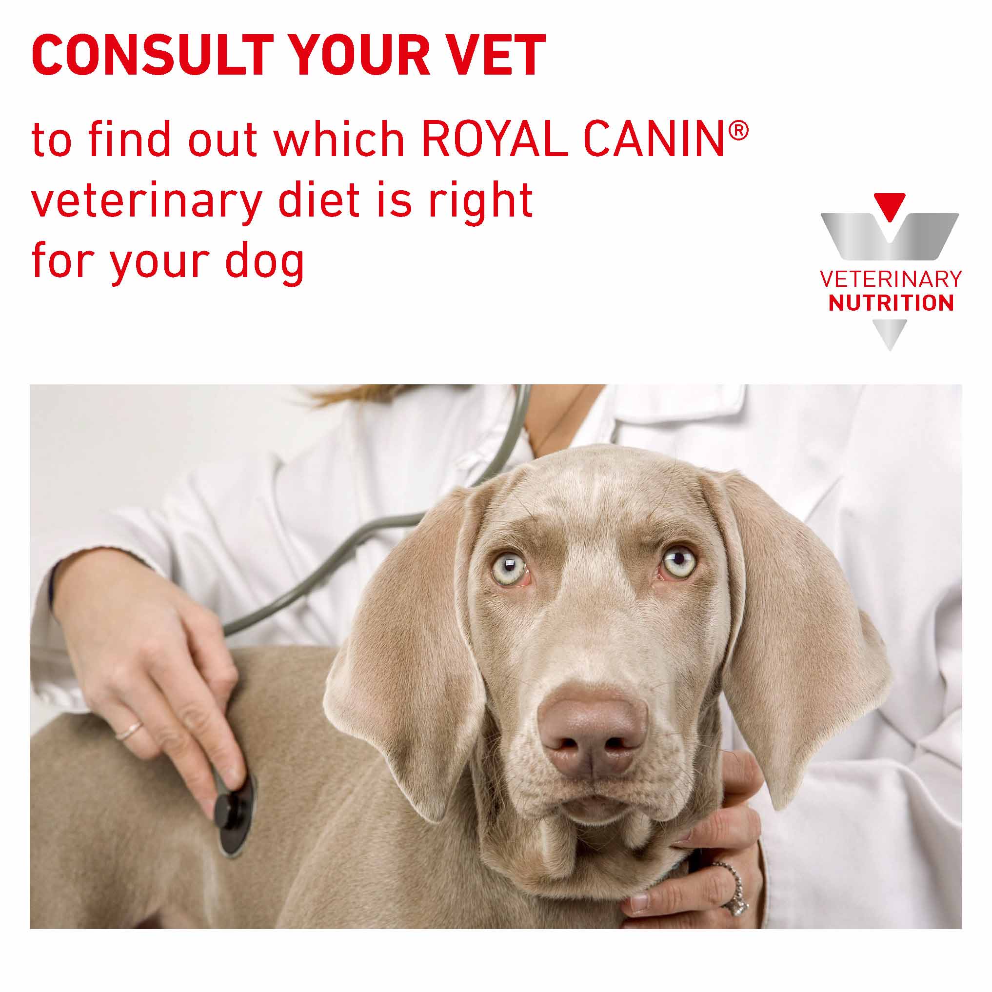 Royal Canin Veterinary Health Gastrointestinal Wet Dog Food - 12x400g Cans - Image 7