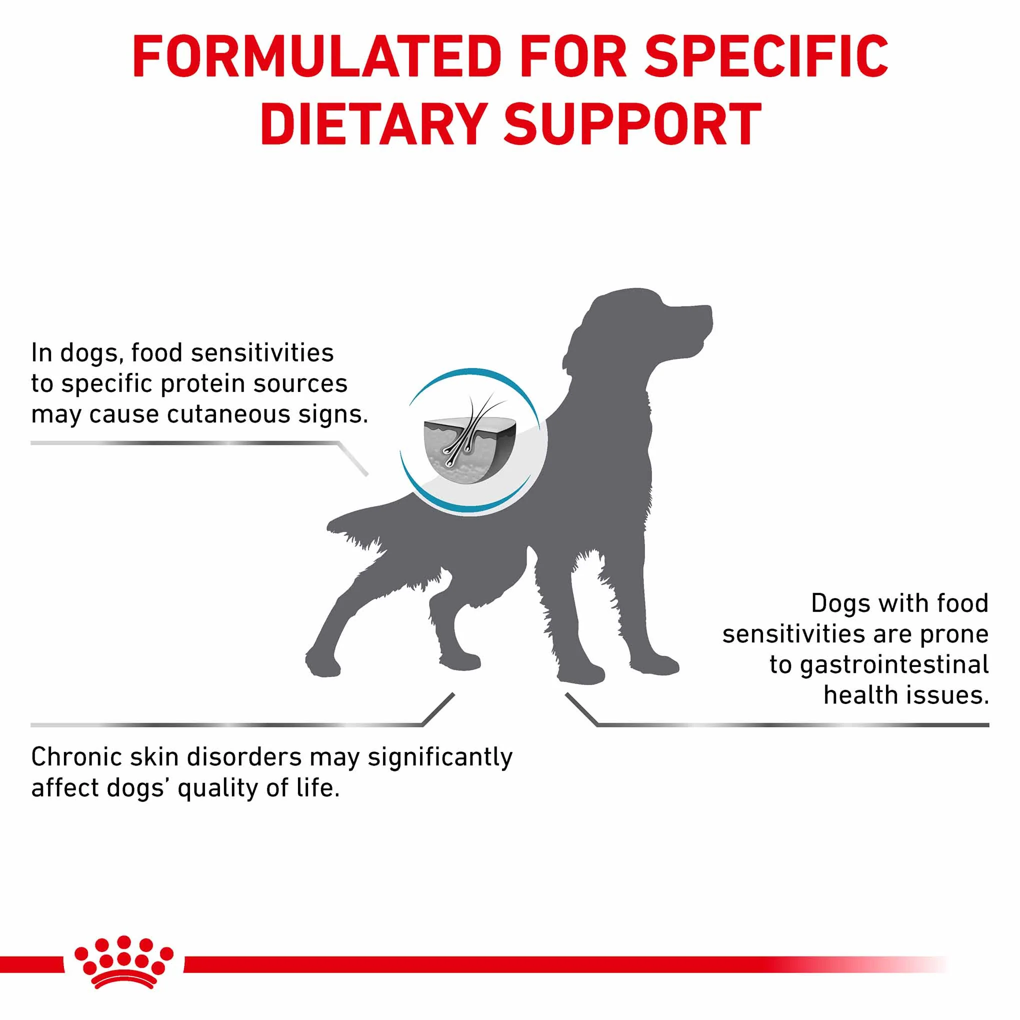 Royal Canin Veterinary Health Nutrition Anallergenic Adult Dry Dog Food - Image 2