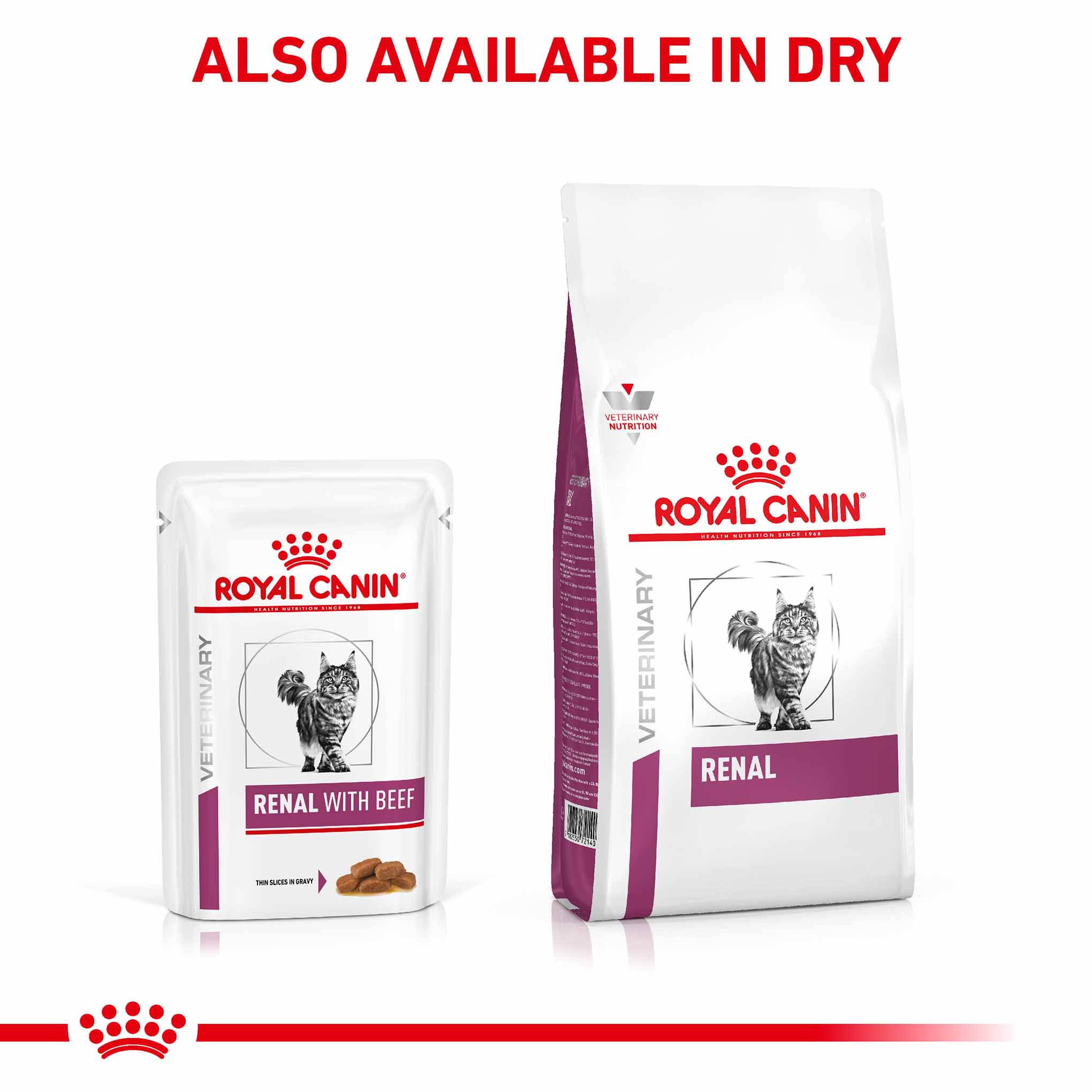 Royal Canin Veterinary Health Nutrition Renal Adult Wet Cat Food In Gravy - Beef - 48x85g Pouches - Image 6