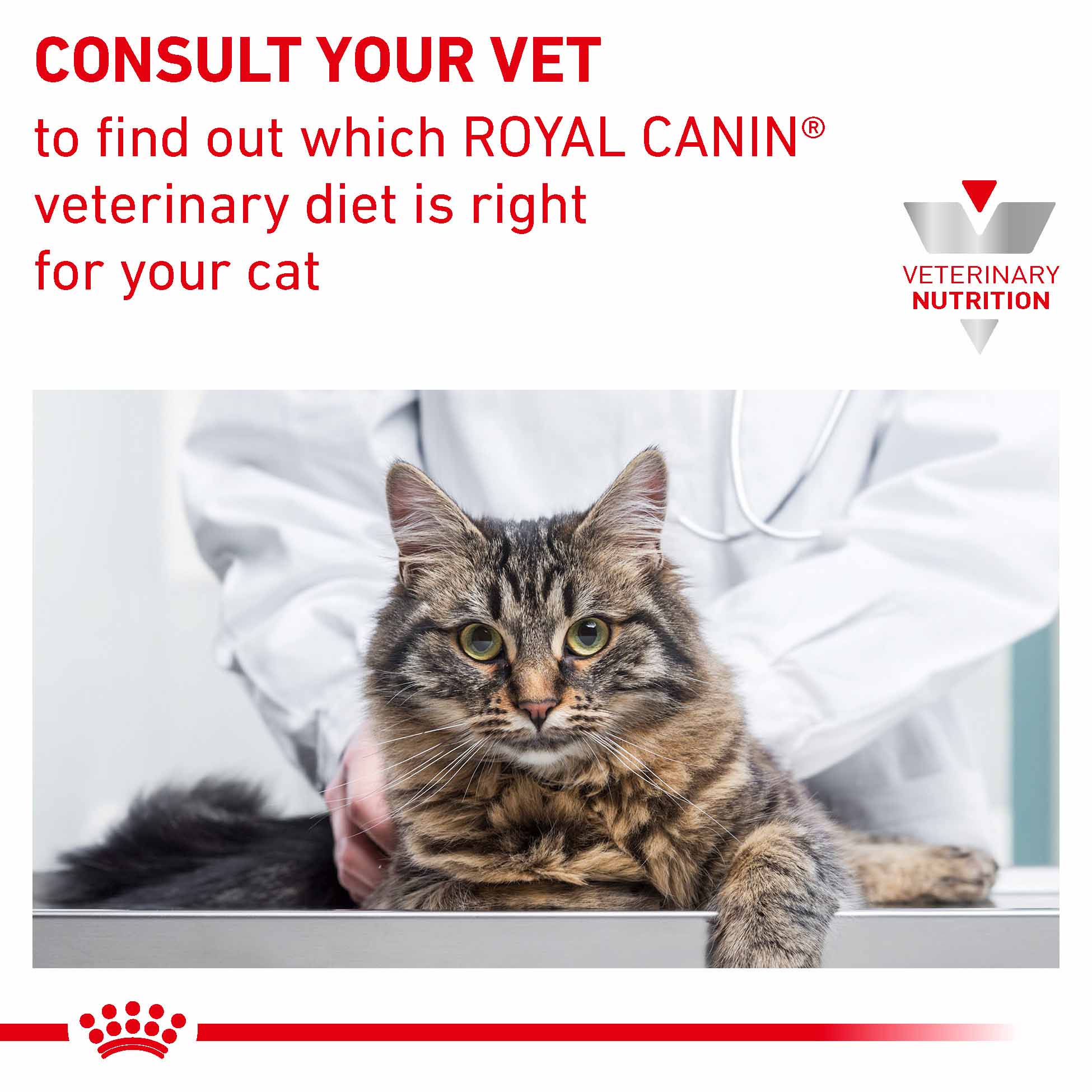 Royal Canin Veterinary Health Nutrition Renal Adult Wet Cat Food In Gravy - Chicken - 48x85g Pouches - Image 7
