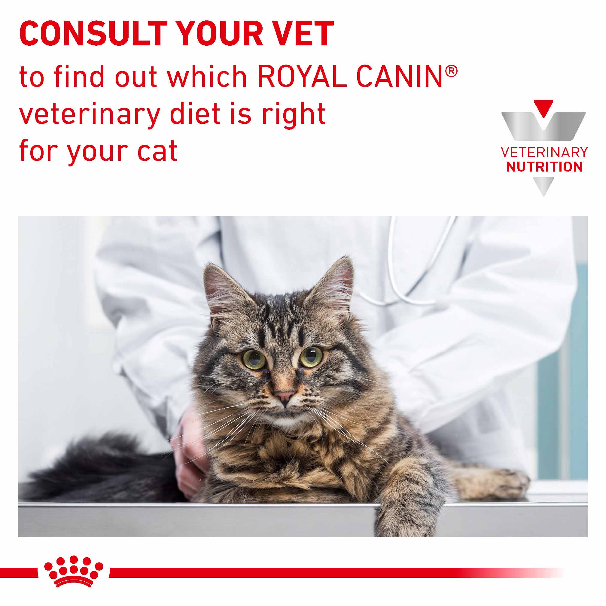Royal Canin Veterinary Health Nutrition Sensitivity Control Adult Dry Cat Food - Image 8