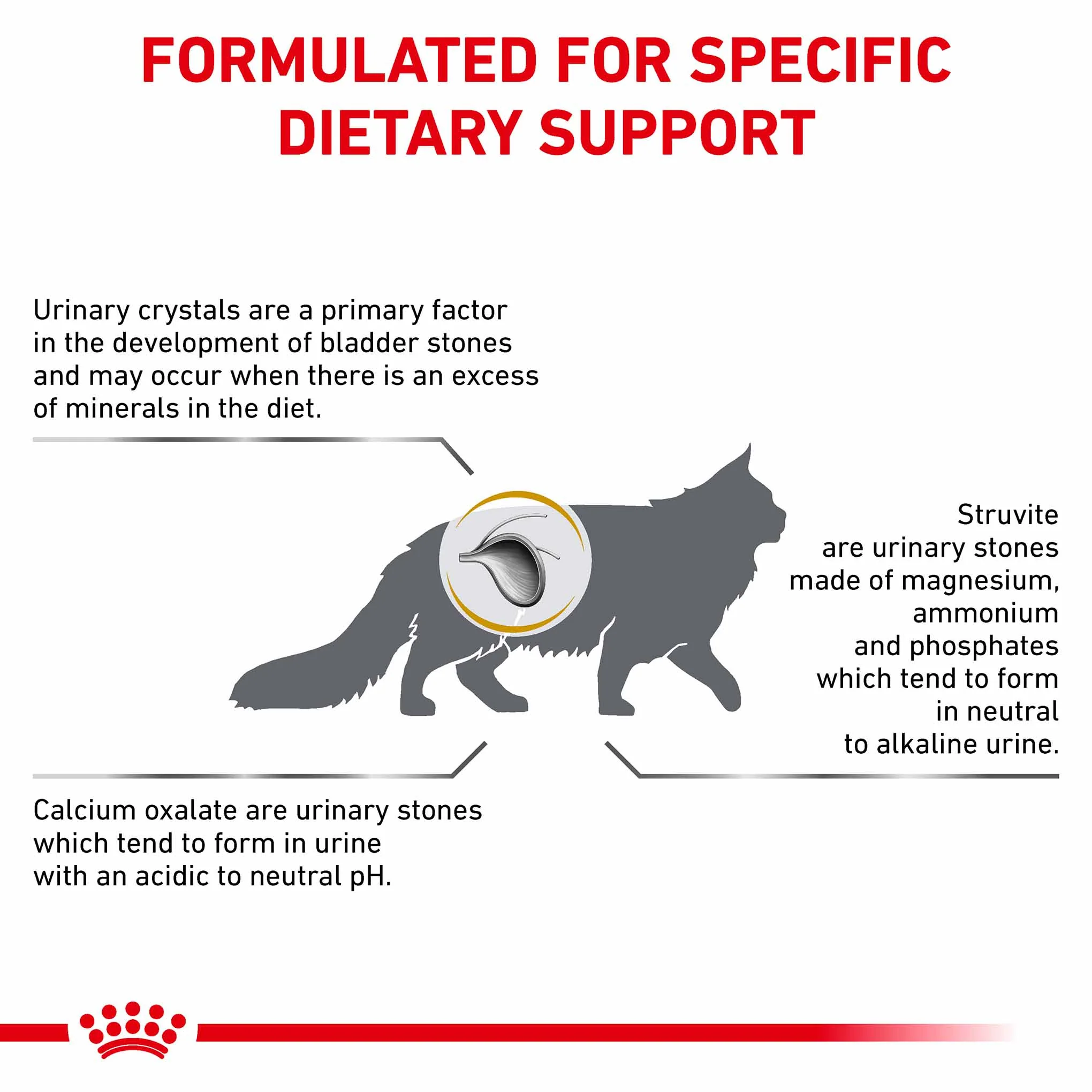 Royal Canin Veterinary Health Nutrition Urinary SO Dry Cat Food - Image 2