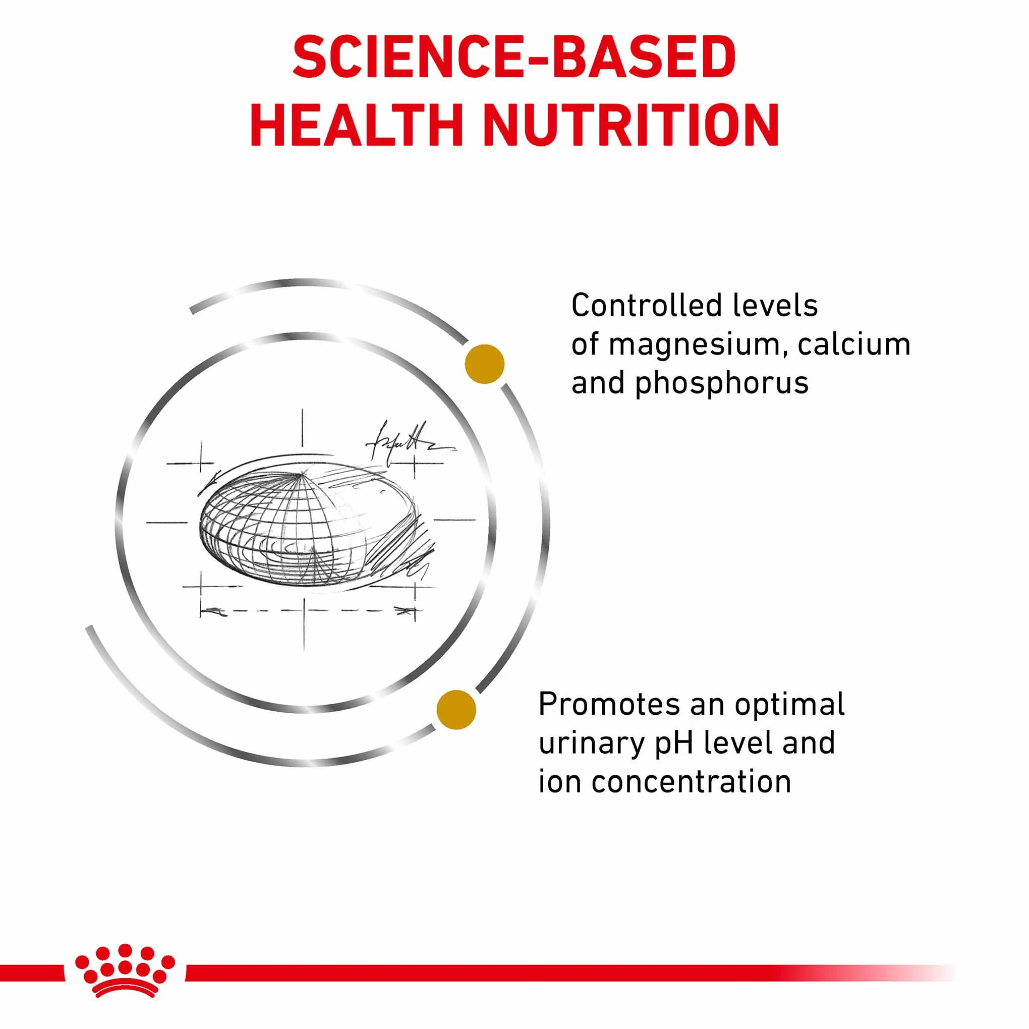 Royal Canin Veterinary Health Nutrition Urinary SO Dry Cat Food - Image 3