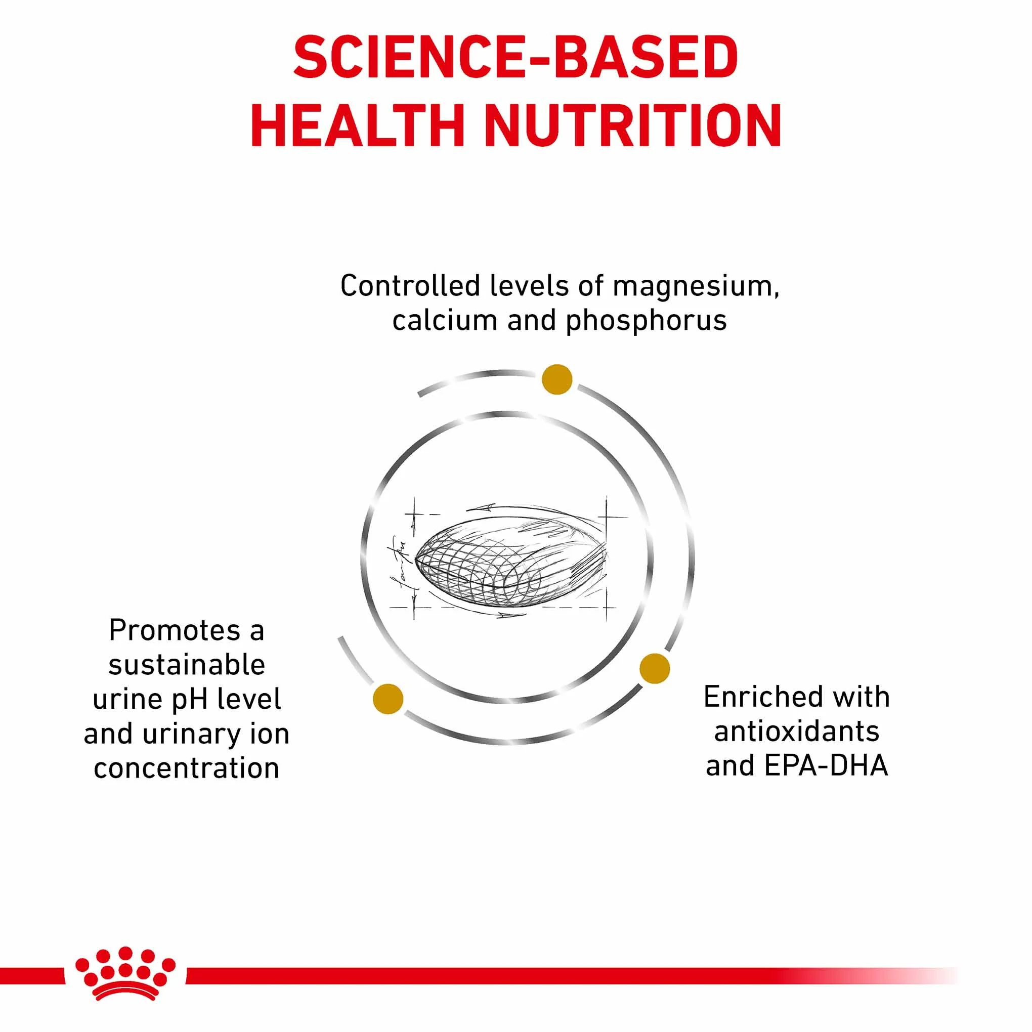 Royal Canin Veterinary Health Nutrition Urinary S/O Dry Dog Food - Image 8